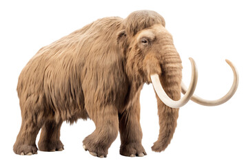Obraz premium Woolly mammoth with curved tusks isolated on a transparent background prehistoric animal