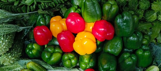 Pile of fresh red yellow and green bell peppers with bitter gourds capsicum red pepper