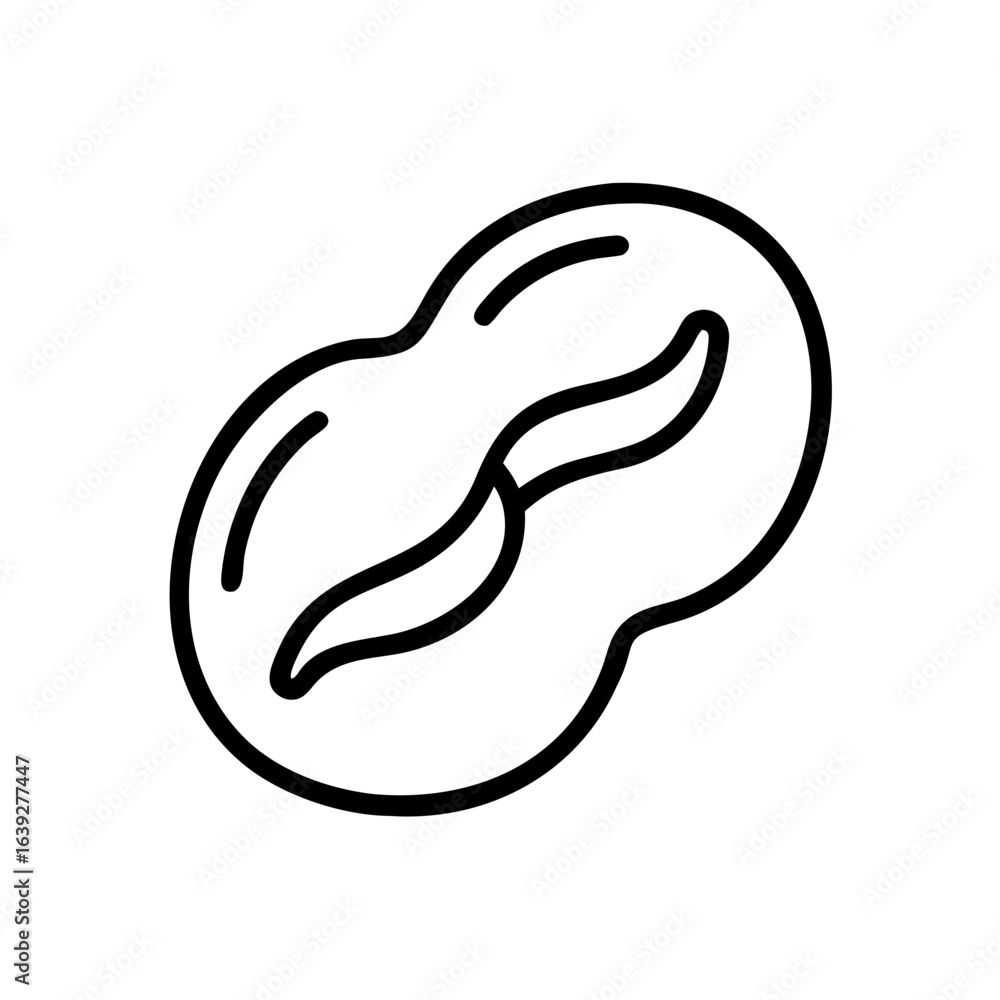 Aufkleber illustration of a single peanut in its shell with a visible seed on a white background line art styl