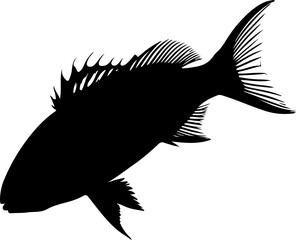 vector illustration of a fish