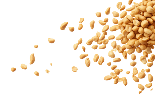 Scatter of raw peanuts isolated on a transparent background showcasing their natural texture and color with a focus on their round shape and varying sizes