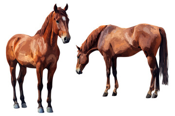 Fototapeta premium Brown horses in a collection portrait gracefully standing and showcasing their unique features and characteristics in an artistic display