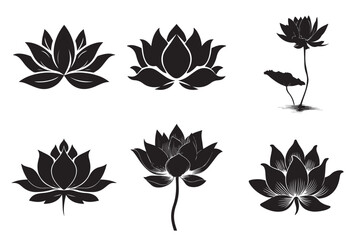 Illustration of six lotus flowers in black and white with varying levels of detail and compositions