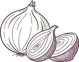 Fresh White Onion Whole and Chopped – Organic Root Vegetable Vector