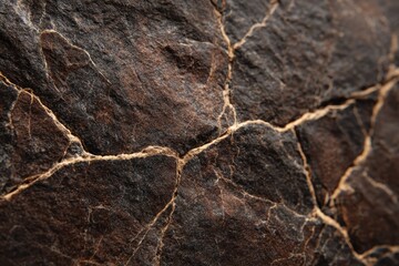 Dark brown and black cracked stone texture showcasing natural fissures and intricate patterns formed over time in a geological landscape