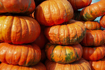 A vibrant pile of ripe orange pumpkins stacked together under sunlight. Perfect autumn harvest background, symbolizing fall, Halloween, and Thanksgiving. Rustic, natural, seasonal vegetable market