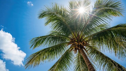 Sunny day with lush palm leaves in a vibrant tropical setting