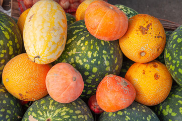 Colorful assortment of melons, watermelons and pumpkins, featuring green speckled gourds and orange or yellow-skinned varieties. Seasonal produce at a local market. Natural food harvest