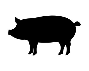 Black Silhouette of a Pig Depicted Against a White Background