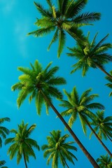 Obraz premium Palm Trees Stretching Towards A Clear Blue Sky