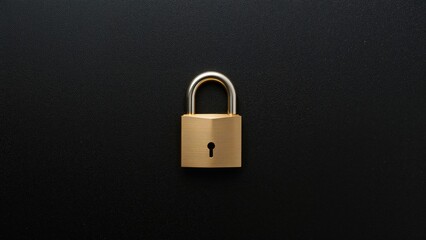 Fototapeta premium Dark leather backdrop featuring a golden secured padlock