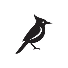 vector illustration of a black bird