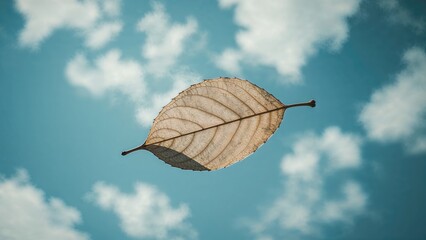 Obraz premium Outline of a leaf visible in the clouds