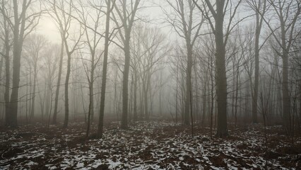 Fototapeta premium Active Snow Thaw in a Misty Spring Woodland