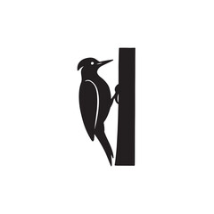 black and white bird