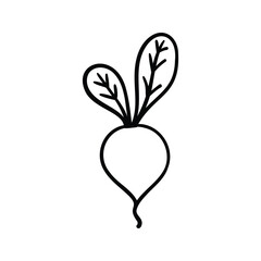 Hand drawn beetroot outline element icon