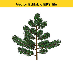 Indoor plant vector art of pine tree branch with needles isolated on white background