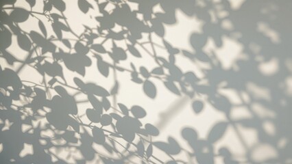 Blurred Floral and Leafy Shadow Composition on a Soft Natural Backdrop
