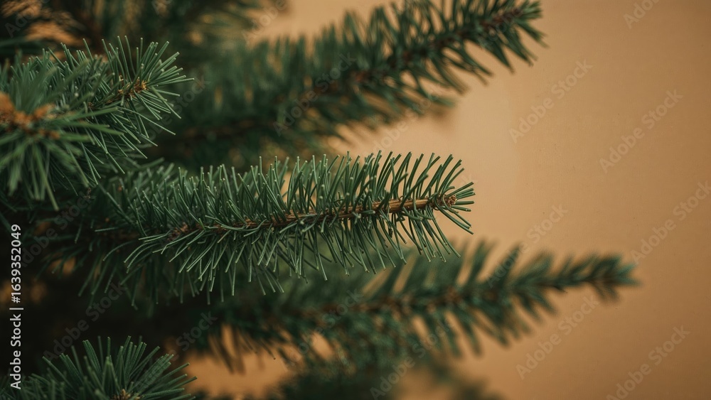 Poster soft and fuzzy conifer branches in sharp focus with a smooth background