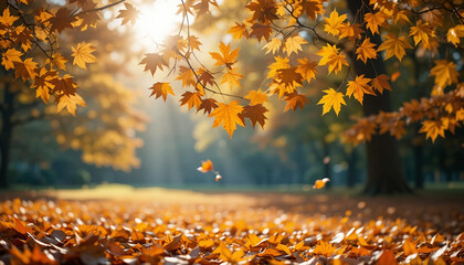 Golden maple leaves create a stunning autumn scene, perfect for seasonal promotions and cozy designs, evoking warmth and nostalgia with vibrant fall foliage and sunlit serenity