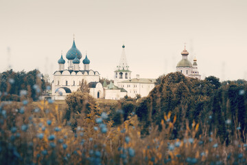 Russian church and bell tower view through blurred high grass and trees on cloudy day, Suzdal, Russia