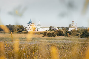 Russian church and bell tower view through blurred high grass and trees on cloudy day, Suzdal, Russia