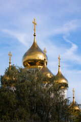 Ancient Russian church golden domes above trees on sunny day, Pereslavl-Zalessky, Russia