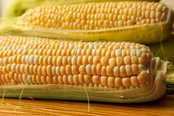 Two radiant ears of golden corn lying on a weathered wooden table, bathed in gentle natural light. Ideal for concepts related to farming, harvest season, organic produce, and healthy living.