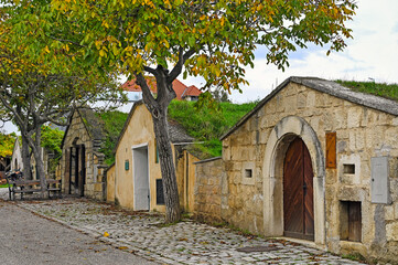 Wine cellars of Kellergasse in Purbach, Burgenland,Austria,autumn season