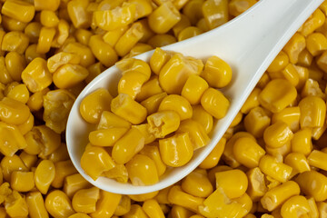 Spoonful Of Bright Yellow Sweet Corn From Can.