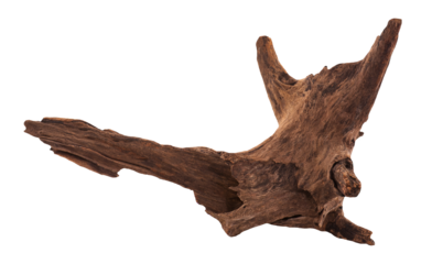 Model of wooden logs for decorating the garden and and fish tank isolated on a white background with cliping path.