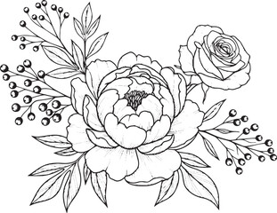 Peony Flower Drawing Vector © Saad Hassan