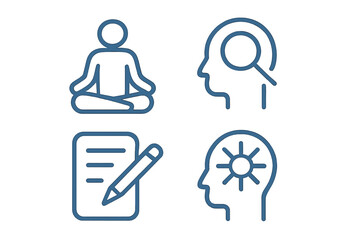 Exploring mindfulness techniques for mental clarity and emotional balance during a wellness workshop