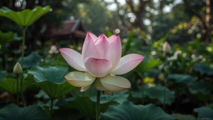 Fototapeta premium Traditional Thai Style Depiction of a Sleeping Lotus