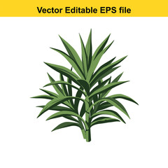 Indoor plant vector art of green plant with pointed leaves isolated on white background