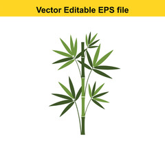 Indoor plant vector art of green bamboo plant with leaves, isolated on white background, vector editable eps file