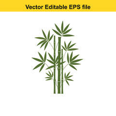 Indoor plant vector art of green bamboo plant with leaves isolated on white background