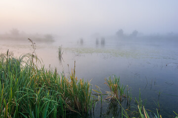 misty morning on the river