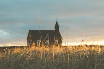 oft Focus on Grass with Búðir Kirkja in the Background