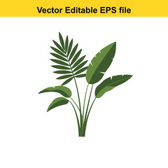 Indoor plant vector art of lush green plant with diverse leaves, isolated on white background