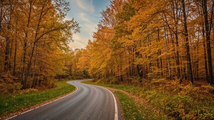 Fototapeta premium Forest road lined with bright golden leaves in the fall