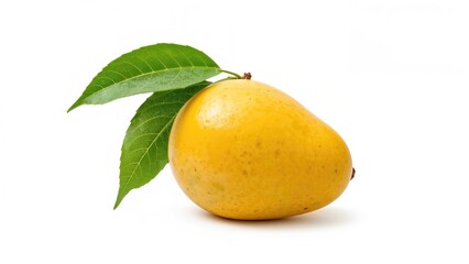 Mature golden mango fruit