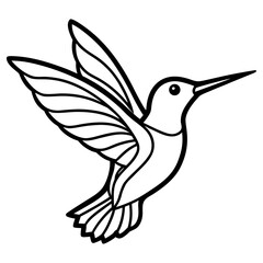 Hummingbird in flight, isolated on white background