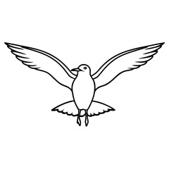 Seagull flying with wings spread isolated on white background