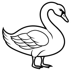 Outline of a swan standing, isolated on white background