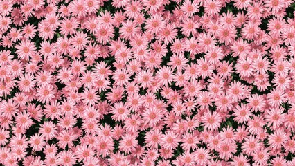 Seamless floral design in raster format, ideal for backgrounds, wallpapers, fabric prints, and home decor