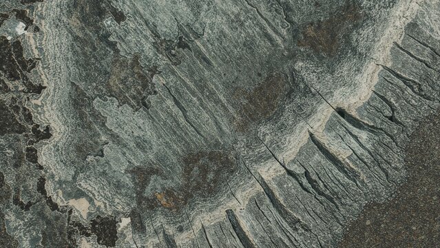 Volcanically formed fossil wood found close to a border between two states, known by names like gary green jasper and larsonite