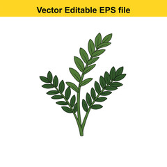 Indoor plant vector art of green plant with multiple leaves isolated on white background