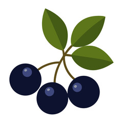 black currant isolated on white