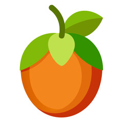 vector illustration of an orange fruit